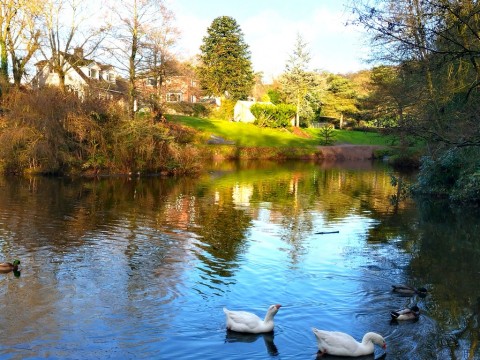 Overton Road, Biddulph, Staffordshire